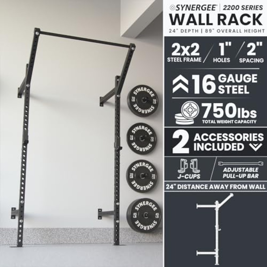 Wall Mounted Squat Rack for ho - Home Gym Pull Up review and price