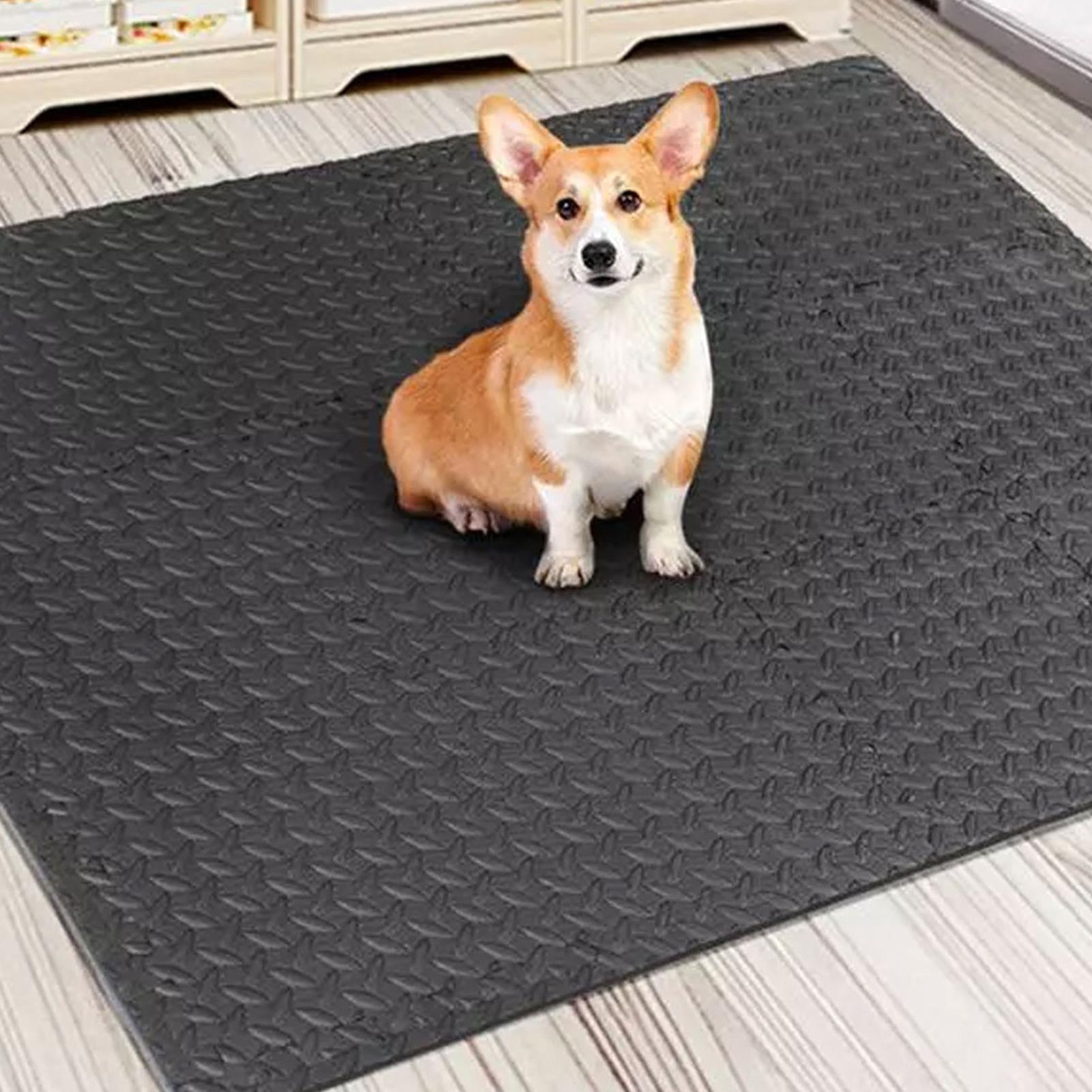 Gym Tiles 12 Pieces Interlocki - Home Gym For Toddlers review and price