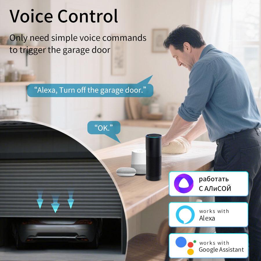 Tuya Smart WiFi or Zigbee Gara - Home Gym Garage review and price