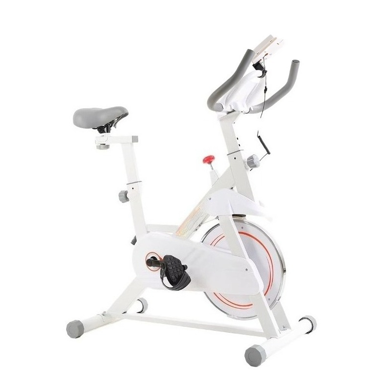 New Professional Spinning Bike - Home Gym Layout review and price