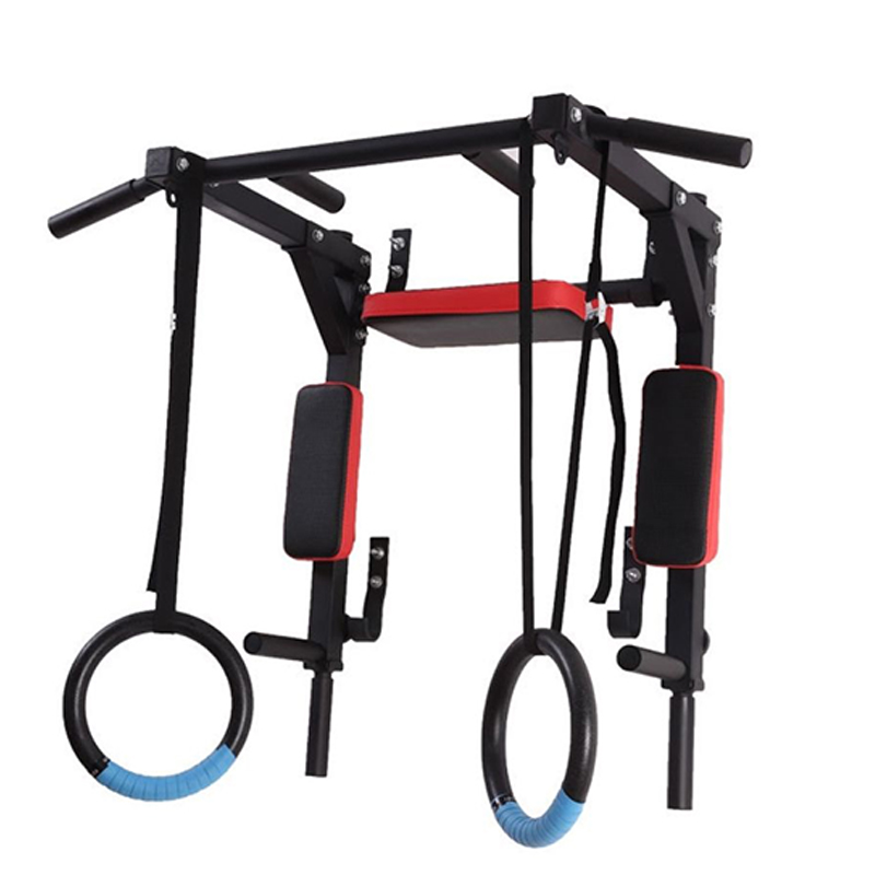 Heavy Duty Wall Mounted Parall - Home Gym Wall review and price