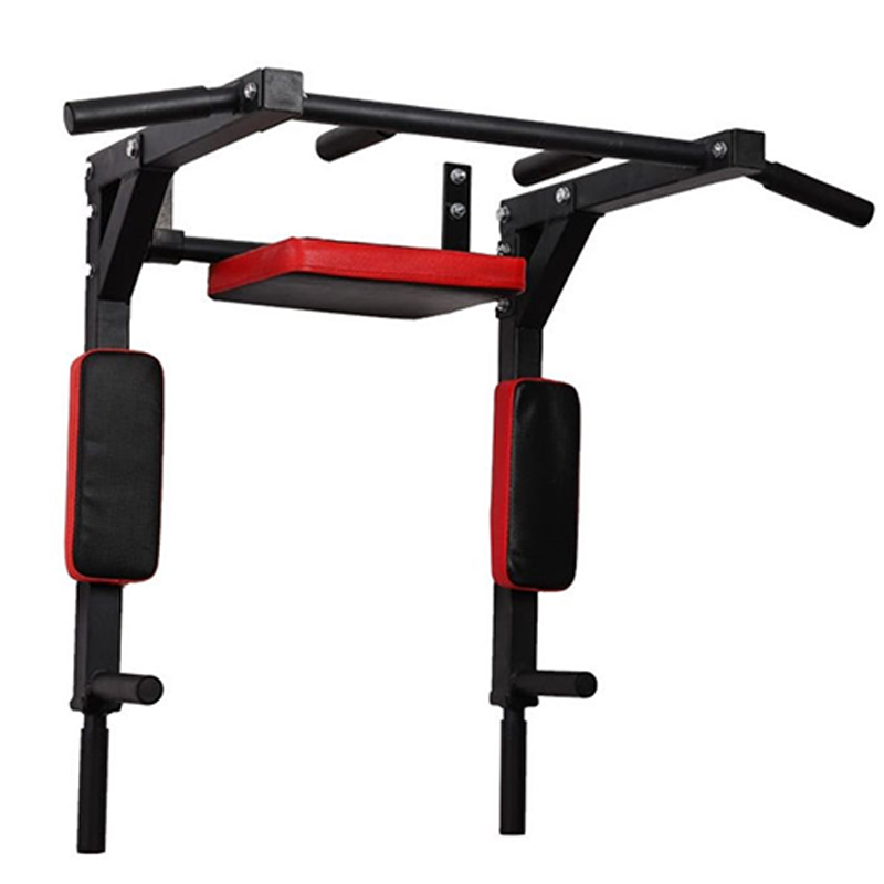 Heavy Duty Wall Mounted Parall - Home Gym Wall review and price