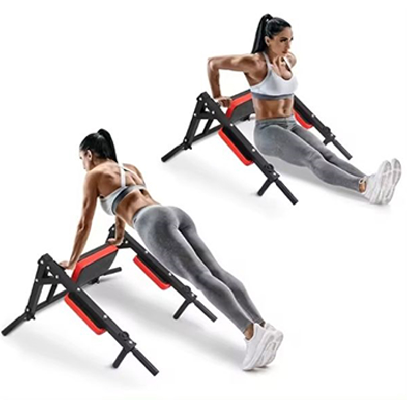 Heavy Duty Wall Mounted Parall - Home Gym Wall review and price