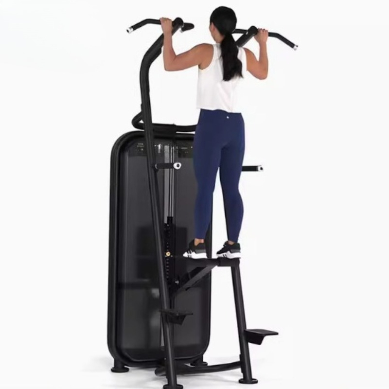 Assisted pull-up parallel bar  - Home Gym Equipment Diy review and price