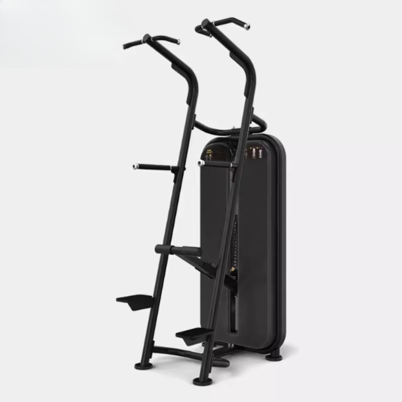 Assisted pull-up parallel bar  - Home Gym Equipment Diy review and price
