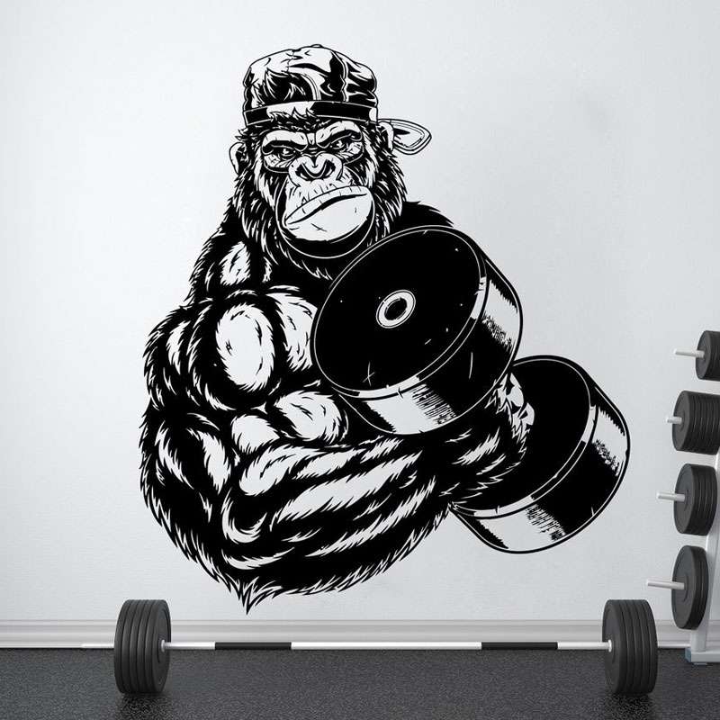 Gorilla Bodybuilder Gym Fitnes - Home Gym Interior Design review and price